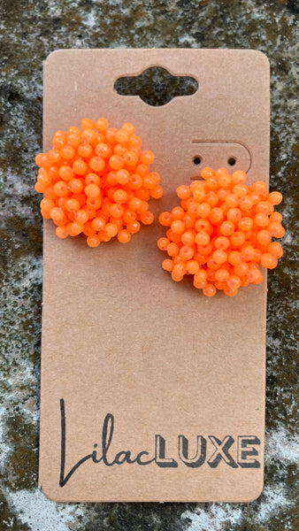 Acropora Orange
