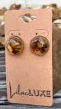 Irregular Tortoise Disks