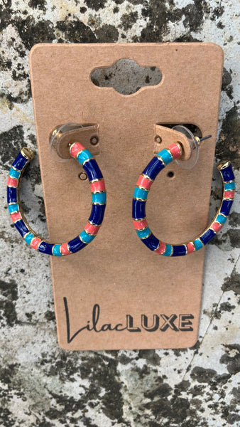 Rainbow Fish Hoops