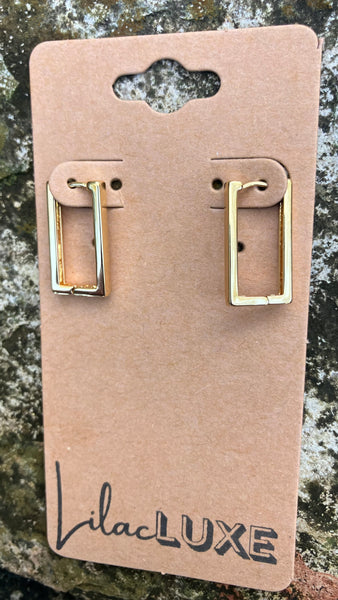 Rectangle Hinge Hoops