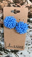 Acropora Cornflower