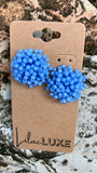 Acropora Cornflower