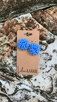 Acropora Cornflower