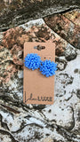 Acropora Cornflower