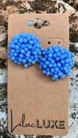 Acropora Cornflower