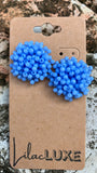 Acropora Cornflower