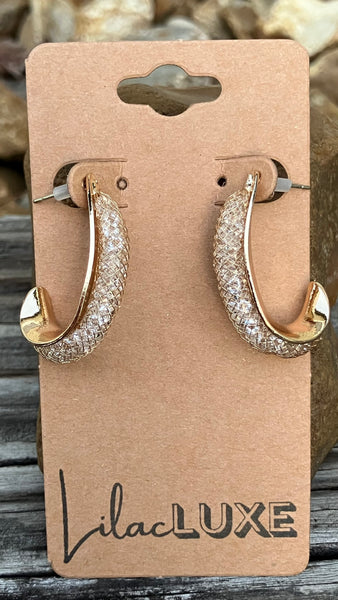 Darla Drew Half Hoops