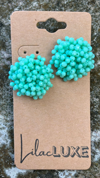 Acropora Mint