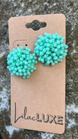 Acropora Mint